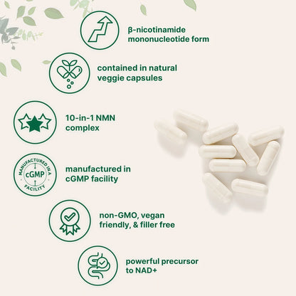 Micro Ingredients NMN 1000mg 10-in-1